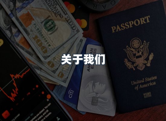 专业团队